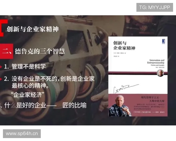 企业家精神与创新能力对企业可持续发展的影响研究 企业家精神与创新能力对企业可持续发展的影响研究