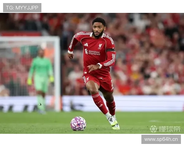 戈麦斯称赛季难搭档范戴克荣幸 戈麦斯称赛季难搭档范戴克荣幸