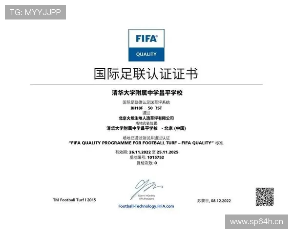 新疆伊宁青年投资打造FIFA标准足球场 新疆伊宁青年投资打造FIFA标准足球场